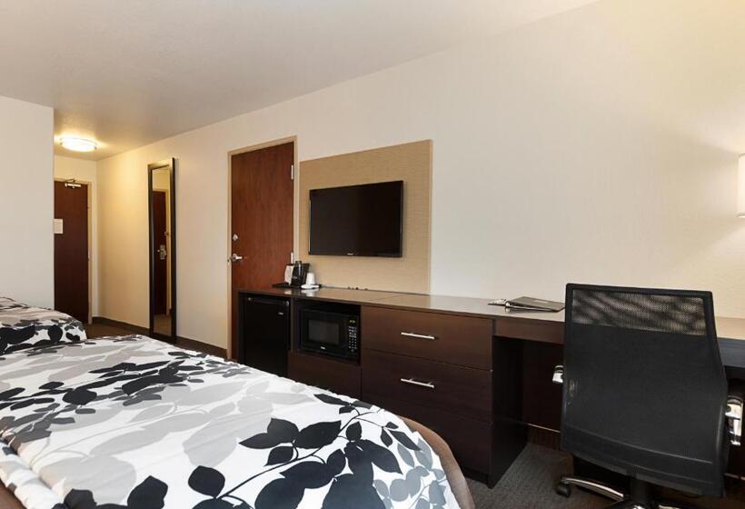 Номер Стандарт, Sleep Inn & Suites Carlsbad Caverns Area