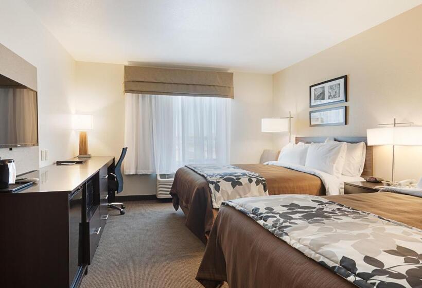 חדר סטנדרט מותאם לאדם עם מוגבלויות, Sleep Inn & Suites Carlsbad Caverns Area