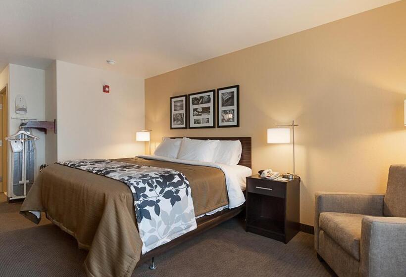 Номер Стандарт Кровать Кинг Адаптированный для Инвалидов, Sleep Inn & Suites Carlsbad Caverns Area