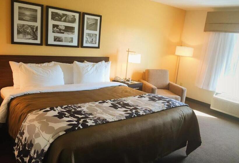 适合残疾人士使用的带超级大床的标准间, Sleep Inn & Suites Carlsbad Caverns Area