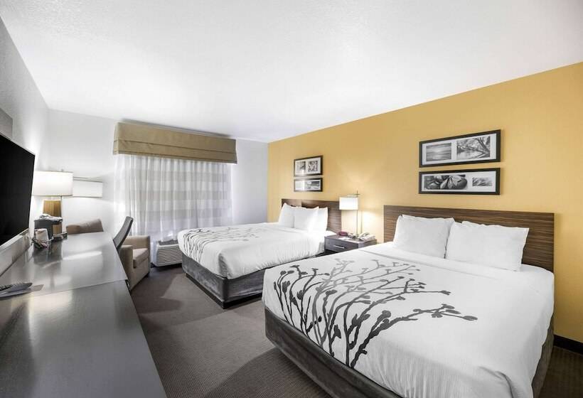 Номер Стандарт 2 Двуспальные Кровати, Sleep Inn & Suites Carlsbad Caverns Area