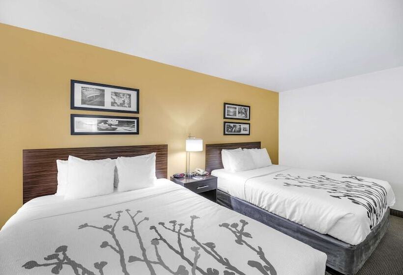 带2个双人床的标准工作室, Sleep Inn & Suites Carlsbad Caverns Area