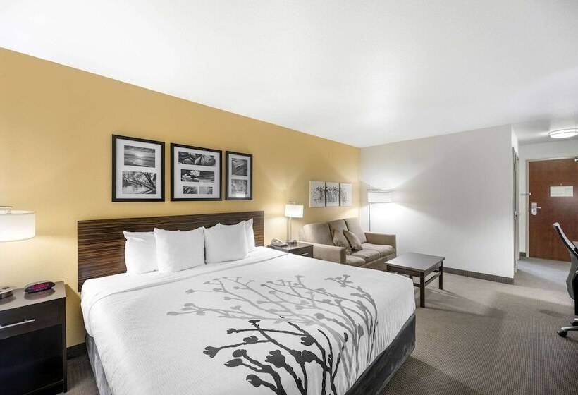适合残疾人士使用的套间, Sleep Inn & Suites Carlsbad Caverns Area