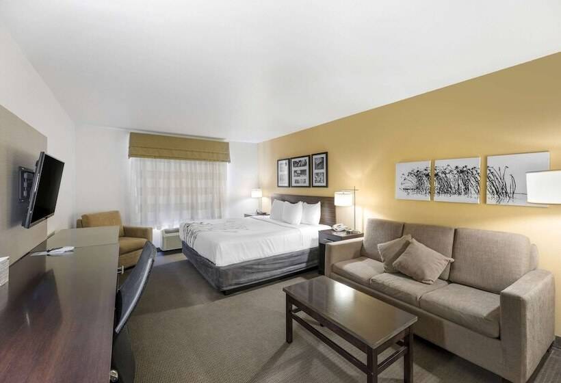 סוויטה מותאמת לאדם עם מוגבלויות, Sleep Inn & Suites Carlsbad Caverns Area