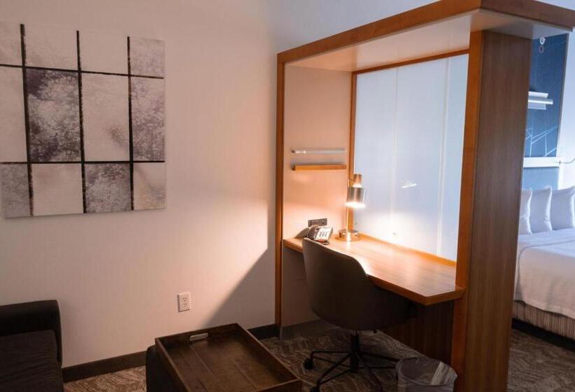 Люкс Кровать Кинг, Springhill Suites By Marriott Dallas Lewisville