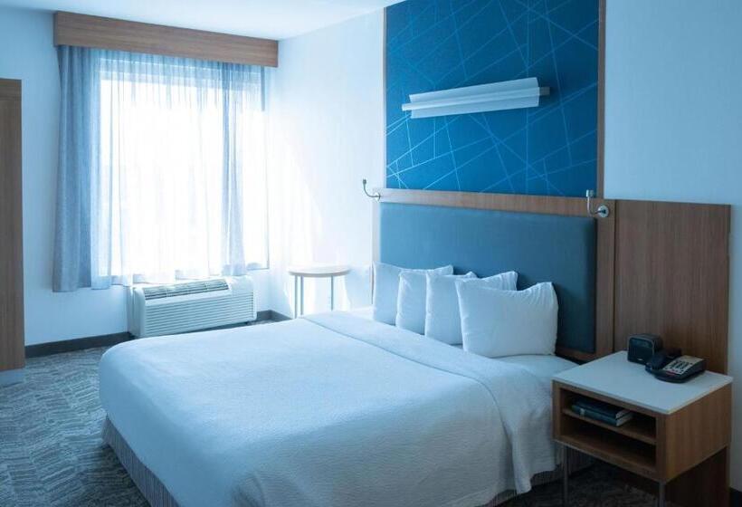 스위트 킹사이즈 침대, Springhill Suites By Marriott Dallas Lewisville