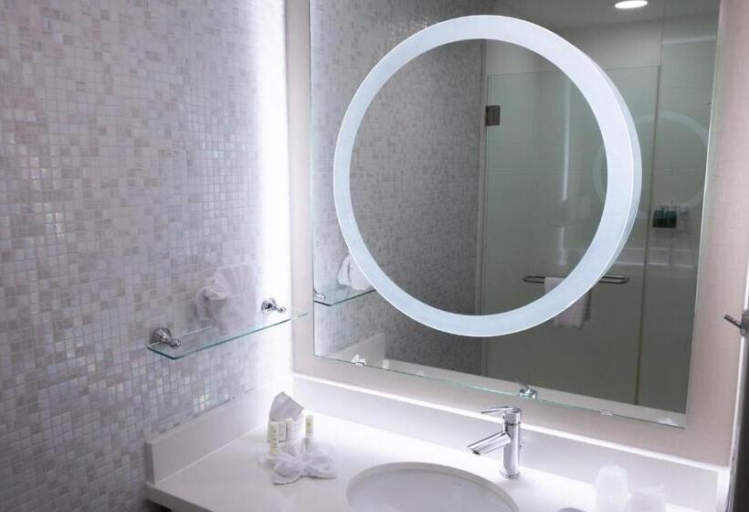 Люкс Адаптированный для Инвалидов, Springhill Suites By Marriott Dallas Lewisville