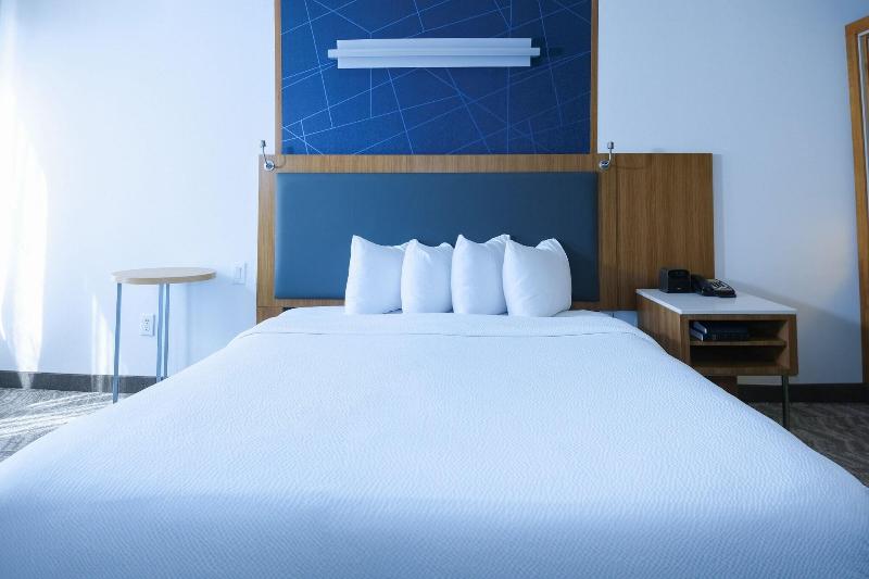 Люкс Кровать Кинг, Springhill Suites By Marriott Dallas Lewisville