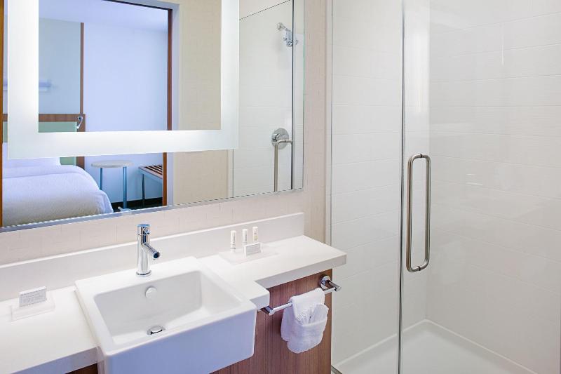 스위트 킹사이즈 침대, Springhill Suites By Marriott Dallas Lewisville