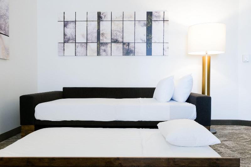 Люкс, Springhill Suites By Marriott Dallas Lewisville