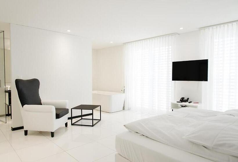 اتاق استاندارد, Residence Thessoni Home , Boarding House & Serviced Apartments Zürich