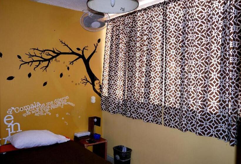 Chambre Standard Individuelle, Hostel Hospedarte Chapultepec