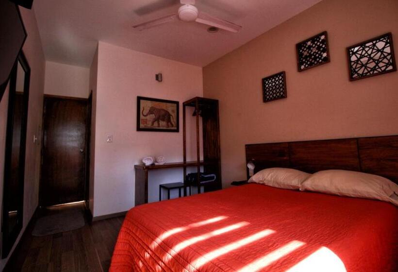 Chambre Deluxe, Hostel Hospedarte Chapultepec