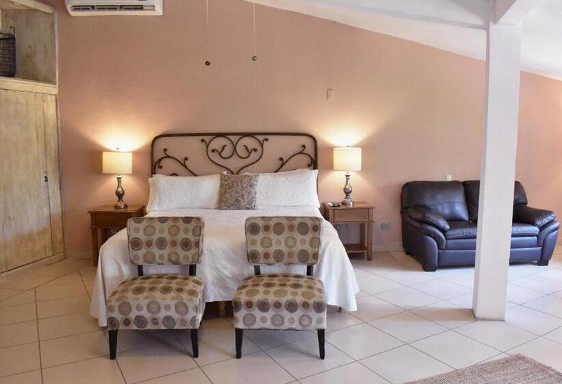 اتاق لوکس با تخت بزرگ, Casa María Elena