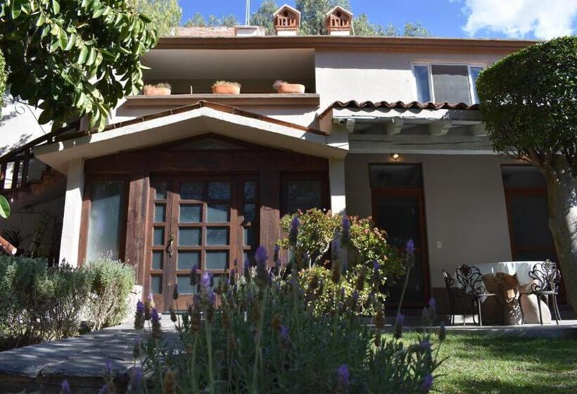 آپارتمان 1 خوابه با چشم‌انداز باغ, Casa María Elena