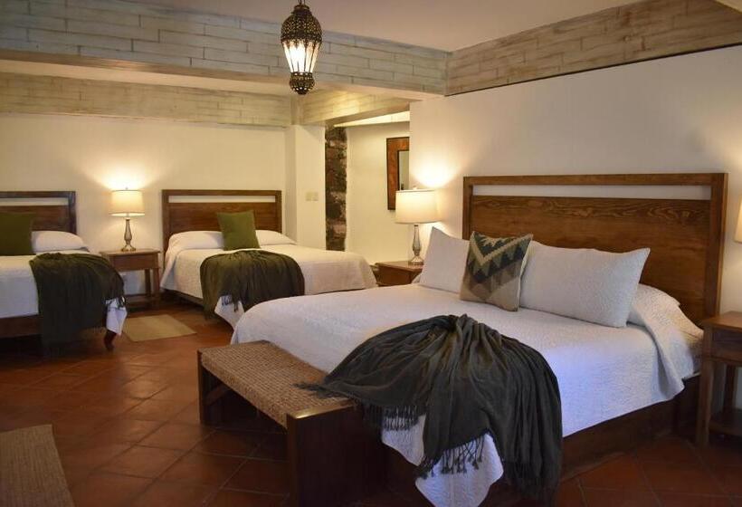 آپارتمان 1 خوابه با چشم‌انداز باغ, Casa María Elena