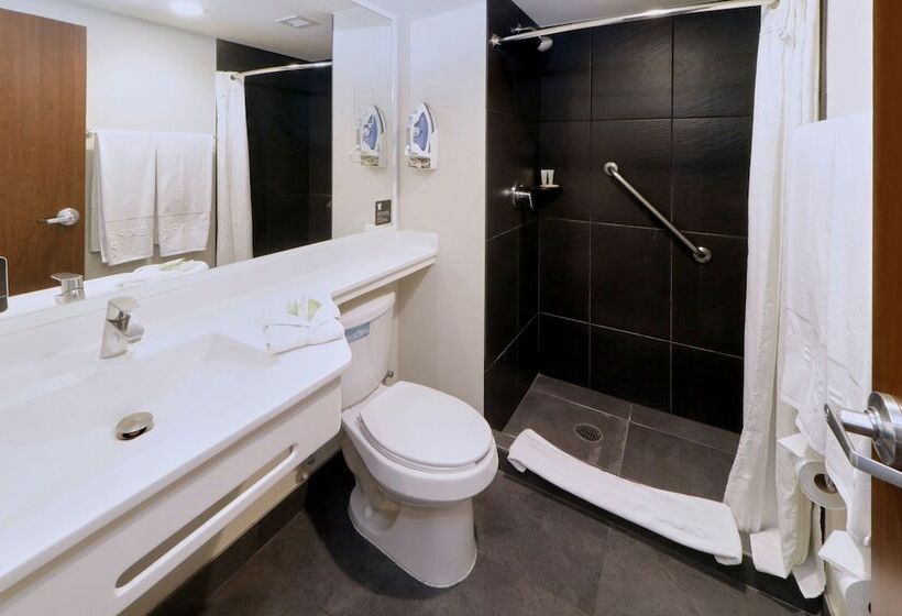 带2个双人床的标准工作室, City Express Plus By Marriott Monterrey Nuevo Sur