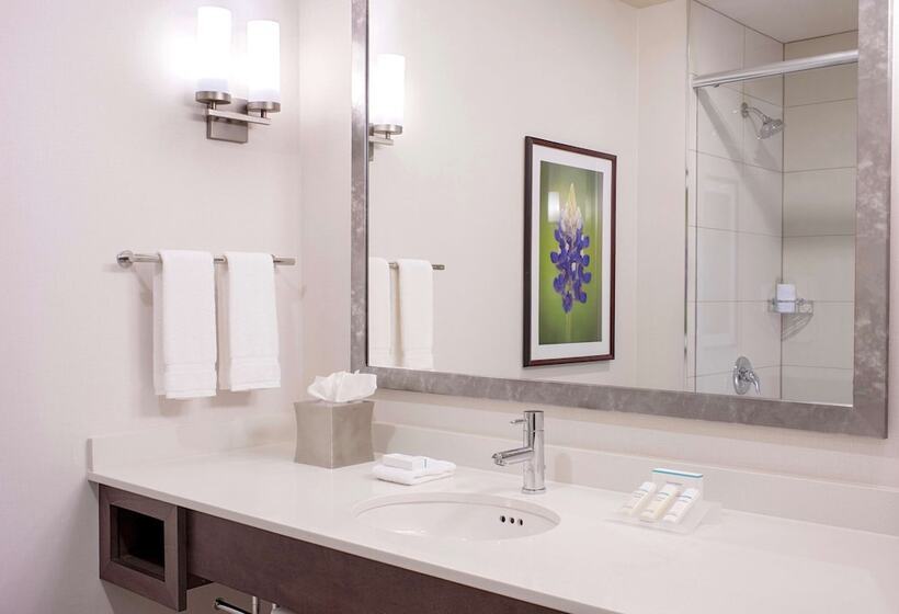 חדר דלוקס, Hilton Garden Inn Downtown Dallas