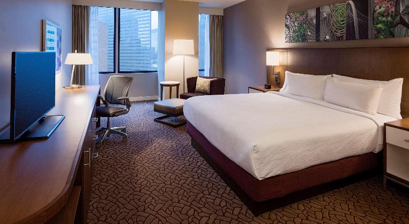 חדר דחוקס עם מיטת קינג, Hilton Garden Inn Downtown Dallas