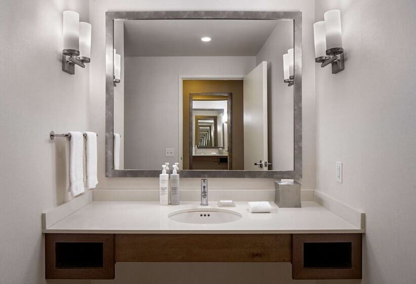 חדר סטנדרט שתי מיטות זוגיות, Hilton Garden Inn Downtown Dallas