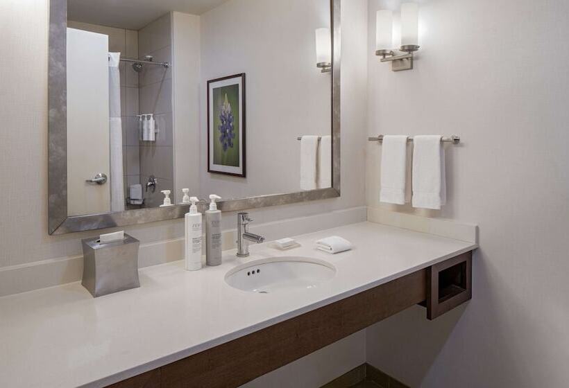 חדר דלוקס, Hilton Garden Inn Downtown Dallas