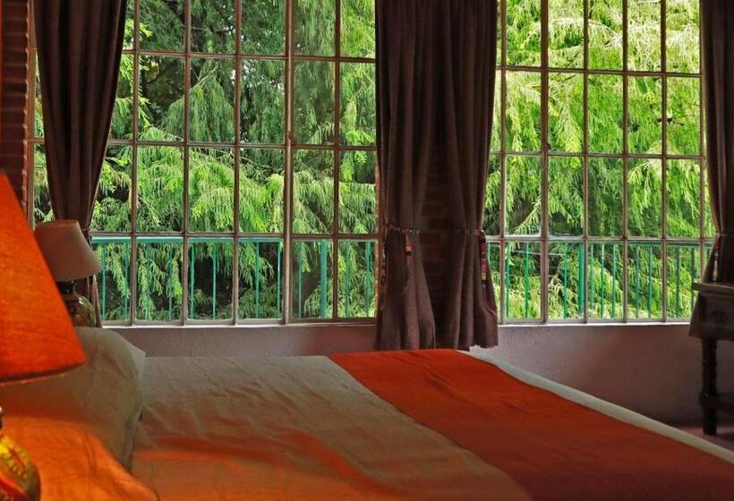 غرفة قياسية سرير كينج, La Posada Del Valle
