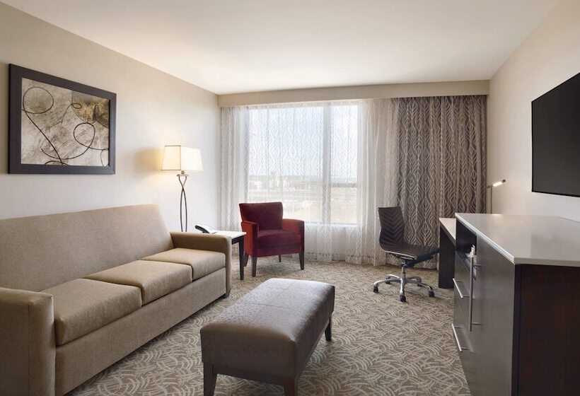 身障者適用スタンダードルーム, Holiday Inn Chicago Schaumburg, An Ihg