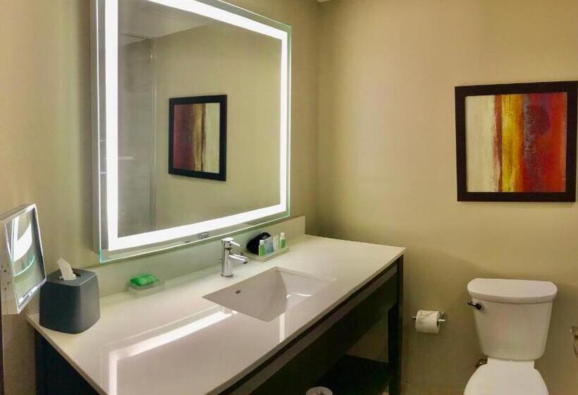 スタンダードルーム, Holiday Inn Chicago Schaumburg, An Ihg
