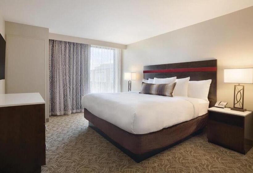 身障者適用キングサイズベッドルーム, Holiday Inn Chicago Schaumburg, An Ihg