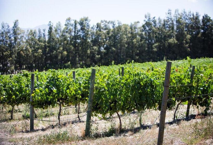 Номер Стандарт, Manley Wine Estate