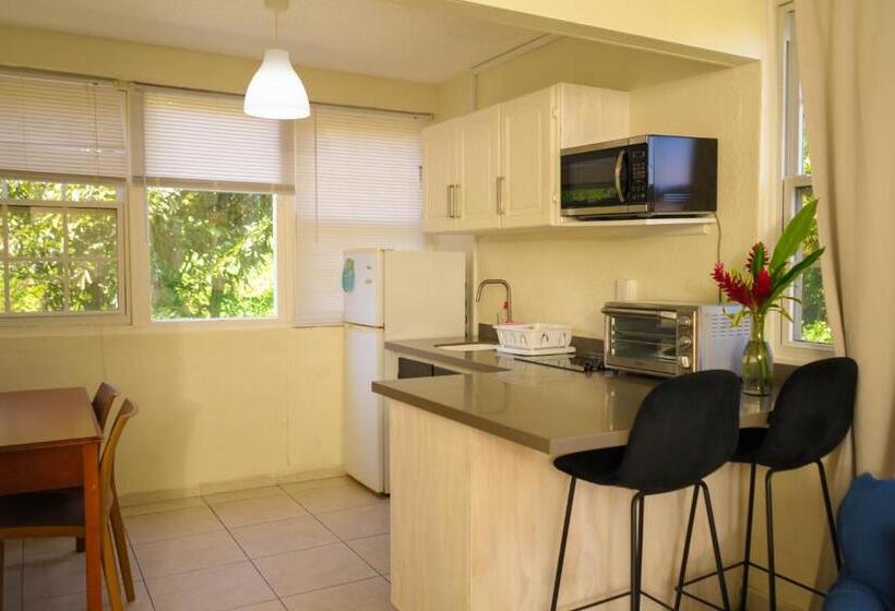 استودیوی سوپریور, Palm Garden Hotel Barbados