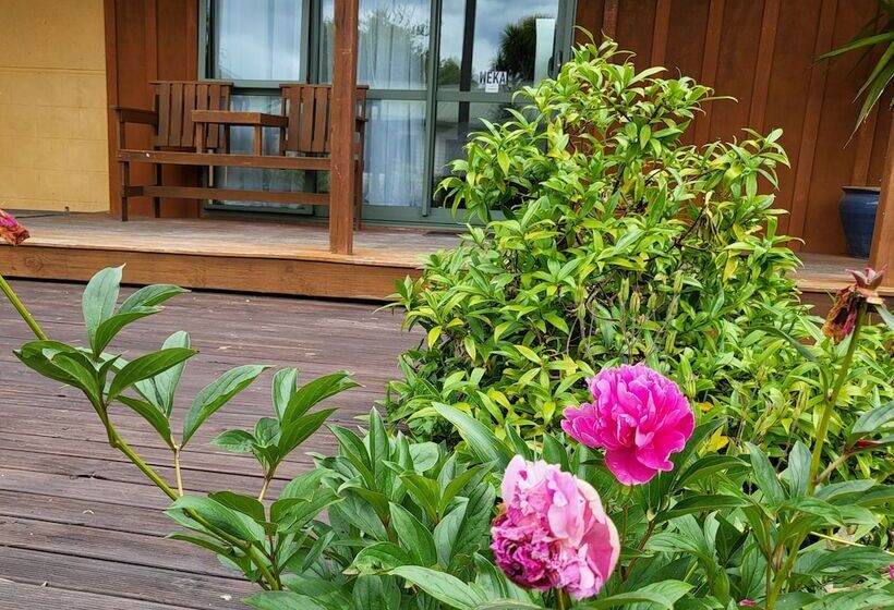 Студия Стандарт, Off The Beaten Trail Accommodation & Bike Tours