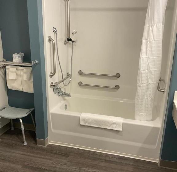 Люкс Адаптированный для Инвалидов, Woodspring Suites Wixom   Novi