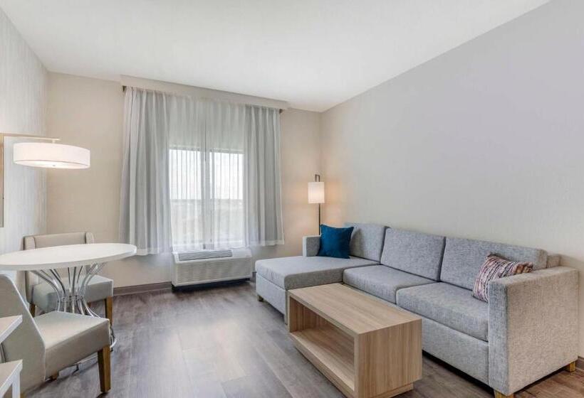 سوئیت با تخت بزرگ, Best Western Plus Winter Haven Inn & Suites