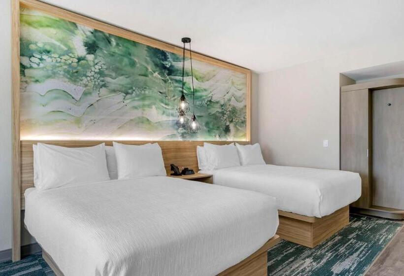 اتاق استاندارد, Best Western Plus Winter Haven Inn & Suites