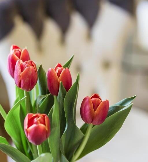 غرفة ديلوكس عائلية, 3 Sixty Hotel & Suites