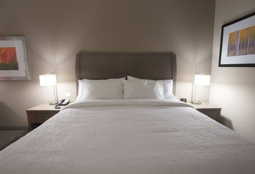 Quarto Estandar Cama King para Deficientes Físicos, Hilton Garden Inn Bolingbrook I 55