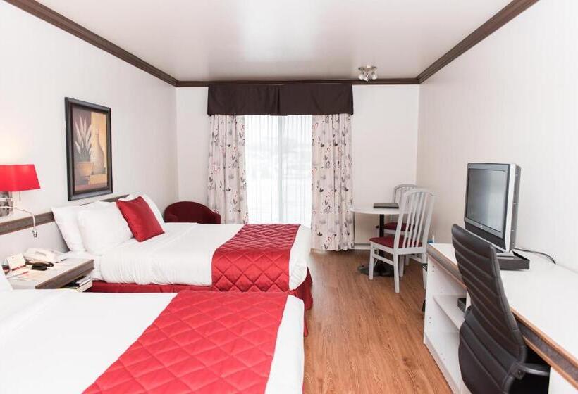 Quarto Comfort, Le Floral
