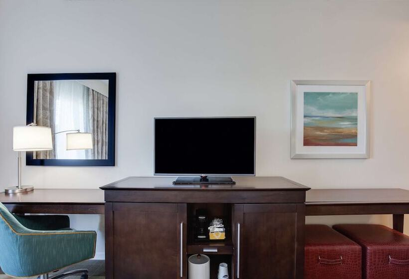 Номер Стандарт Адаптированный для Инвалидов, Hampton Inn & Suites Deland