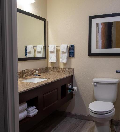 Номер Deluxe Кровать Кинг, Cobblestone Inn & Suites  Springfield