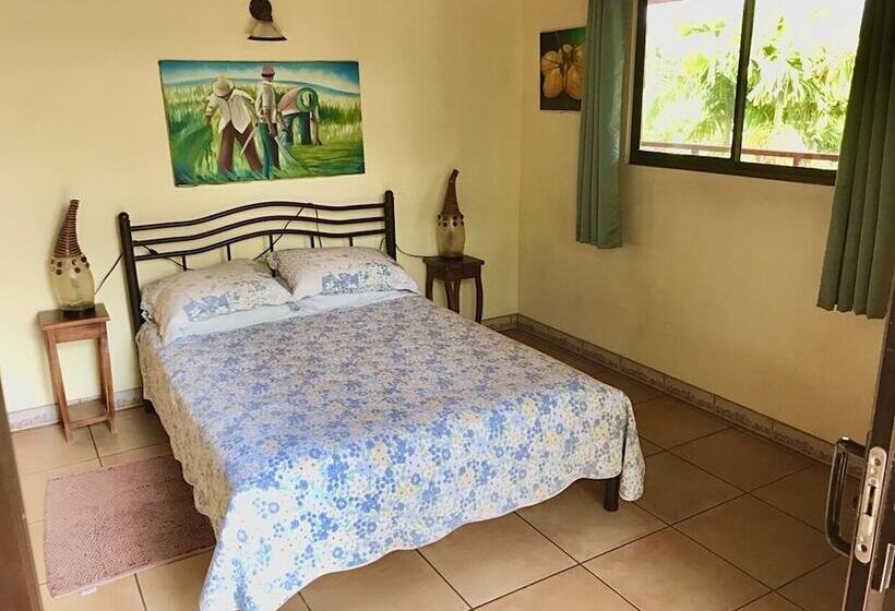 غرفة قياسية, Eden Atenas