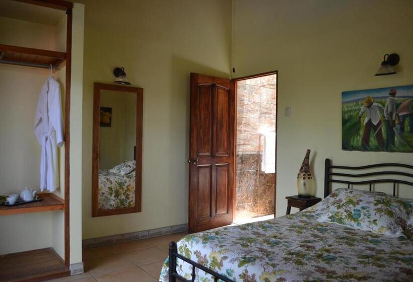 غرفة قياسية, Eden Atenas