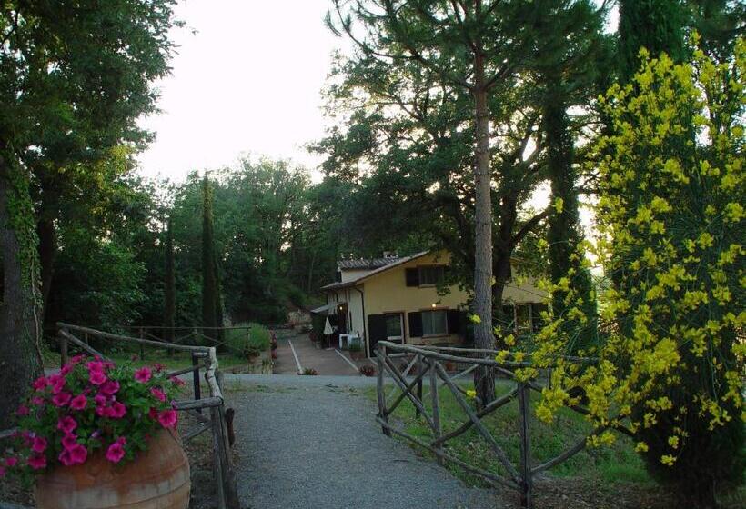 Студия Стандарт, Agriturismo La Sovana