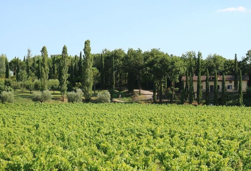 Апартаменты 2 Спальни, Agriturismo La Sovana