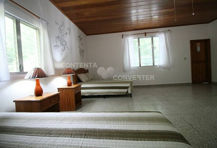 بانگلوی لوکس, Maya Zacpetén Jungle Lodge