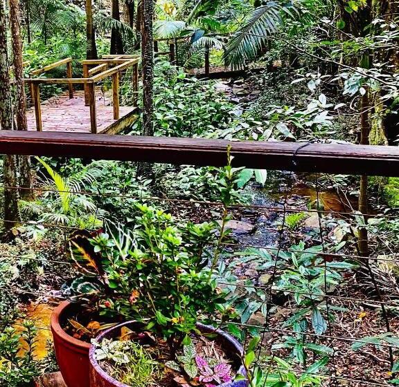 Студио Стандарт Вид на Сад, Treetops Montville
