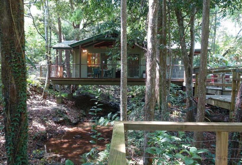 Студио Стандарт Вид на Сад, Treetops Montville