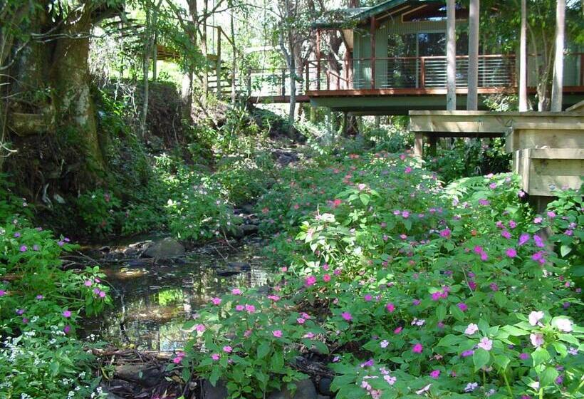 Студио Стандарт Вид на Сад, Treetops Montville
