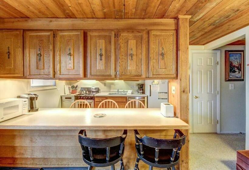 Апартаменты 1 Спальня, Okemo Trailside 08e