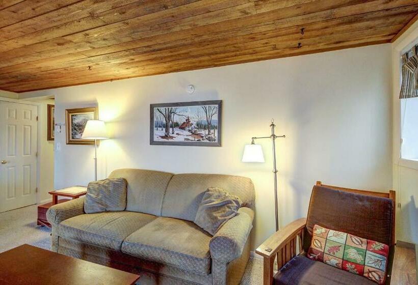 Апартаменты 1 Спальня, Okemo Trailside 08e